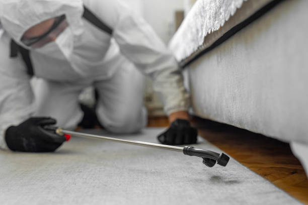 Professional Bed Bug Control technician working in Little Round Lake, WI