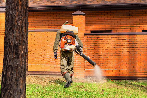 Trusted Bed Bug Control service in Little Round Lake, WI - Nex Pest Control